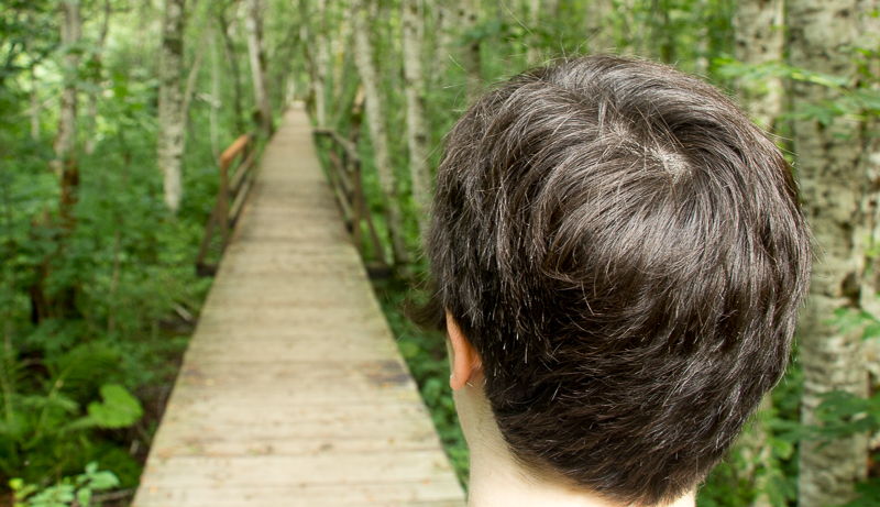 The Boardwalk