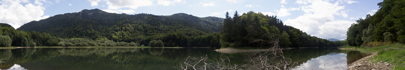 Panoramic View