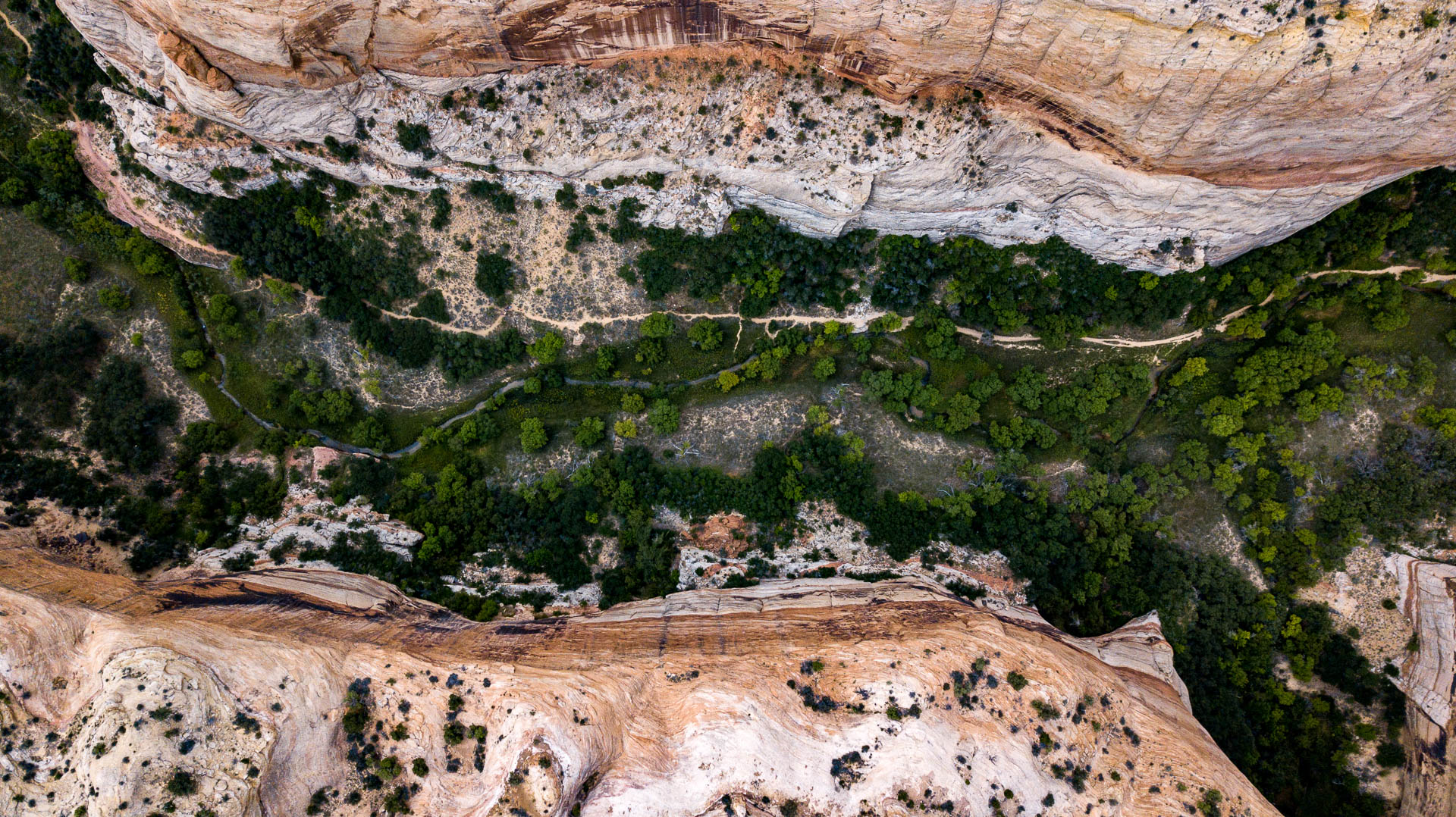 canyon-aerial