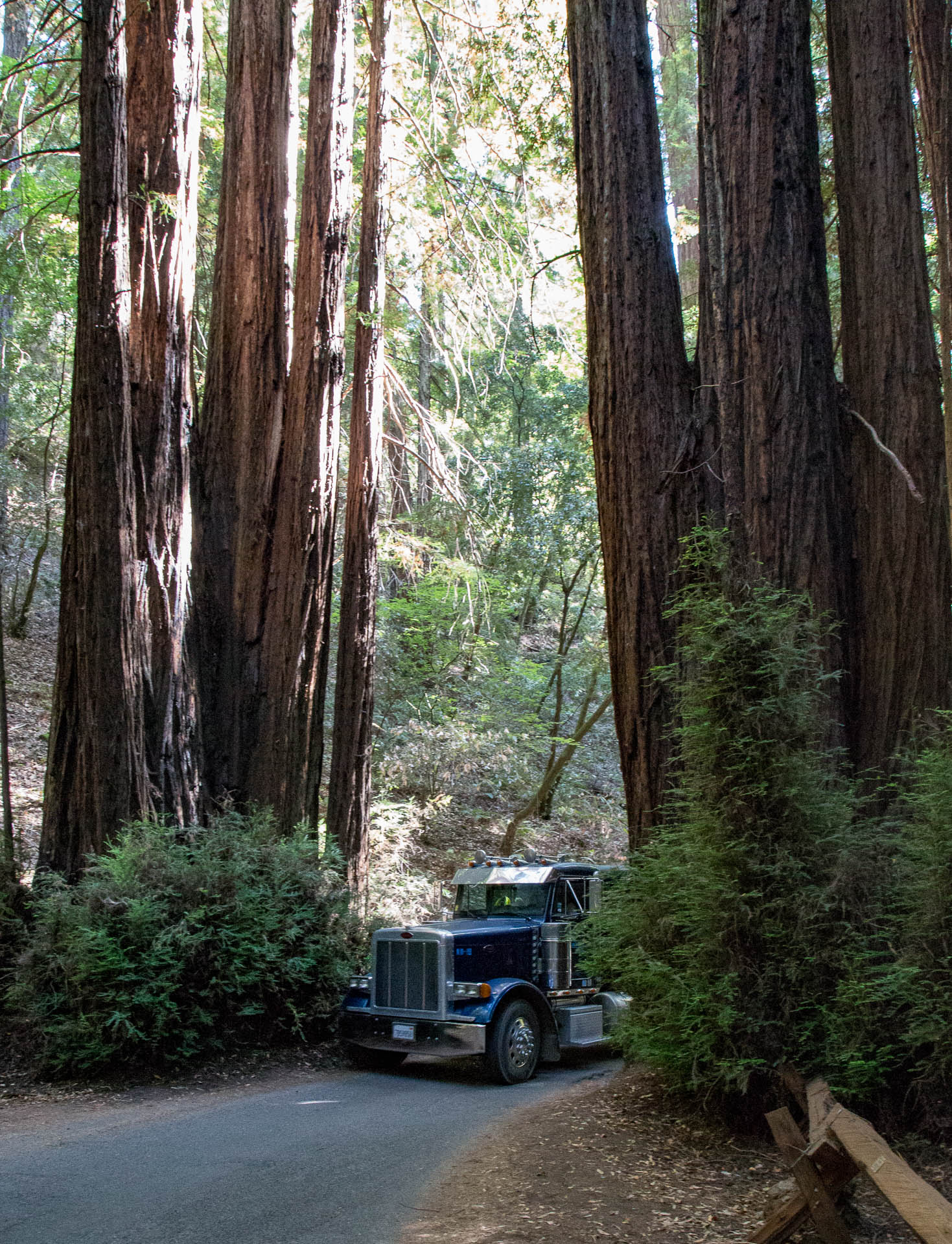 redwoodtruck