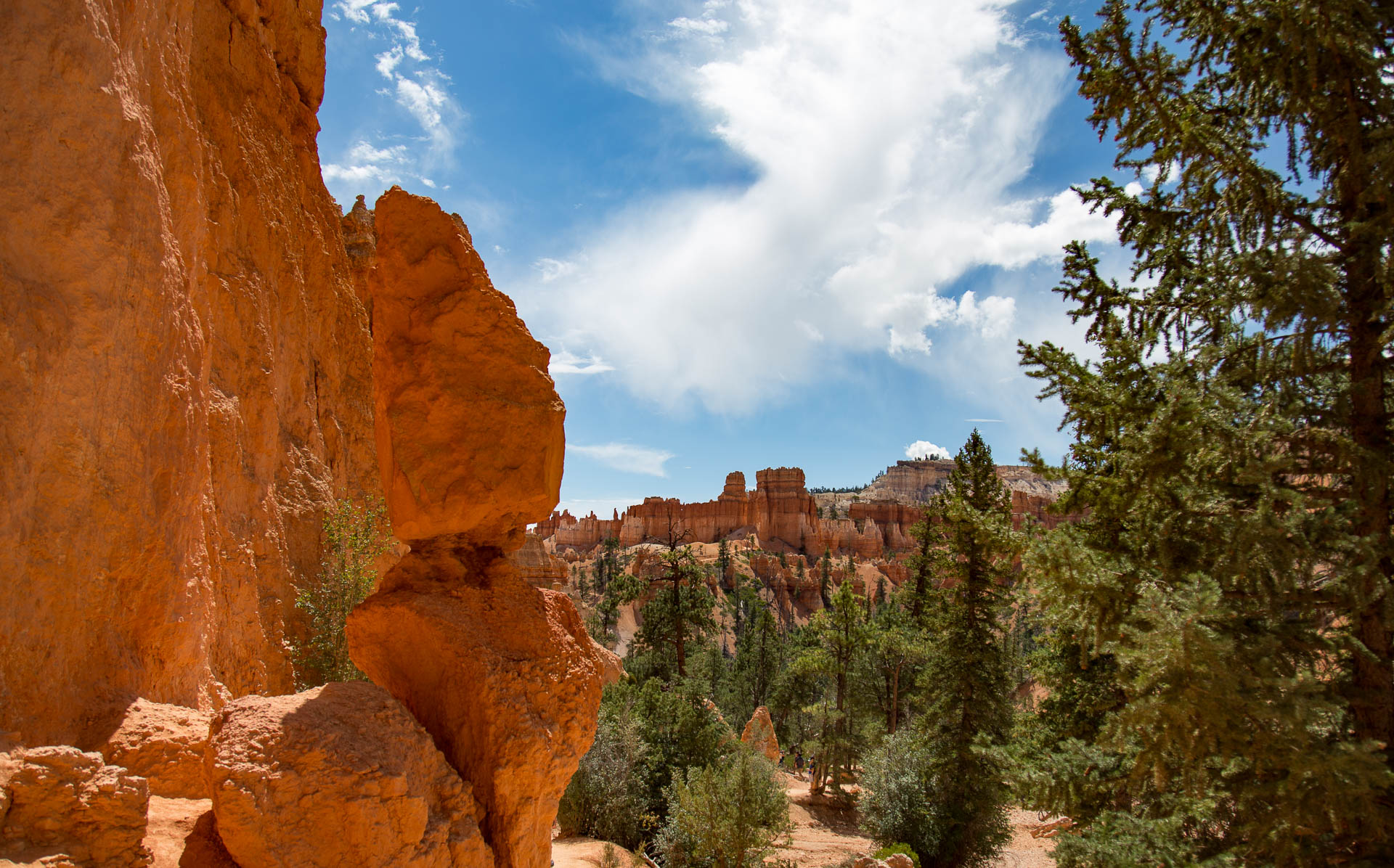 canyon-walk-1