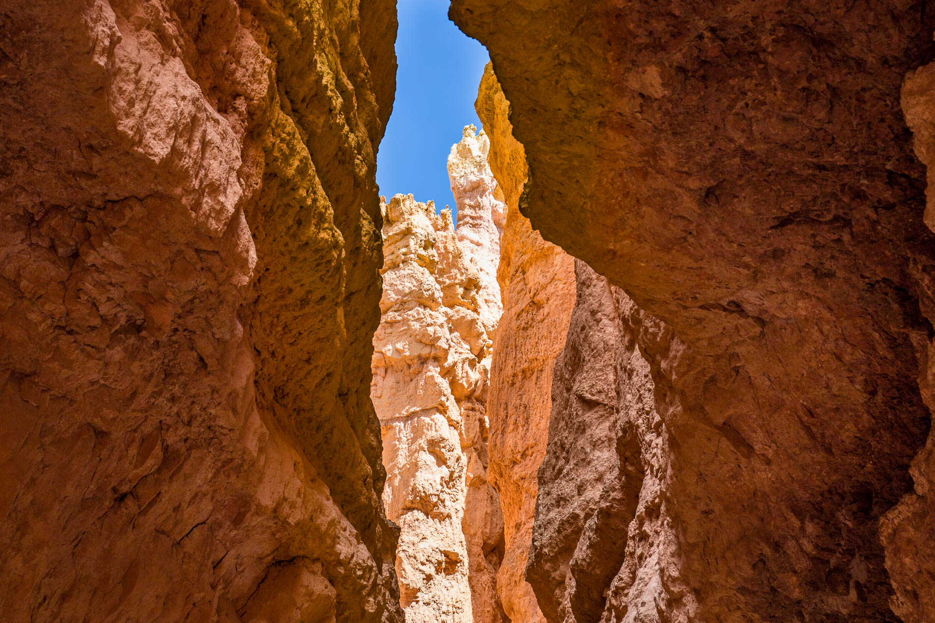 canyon-walk-2