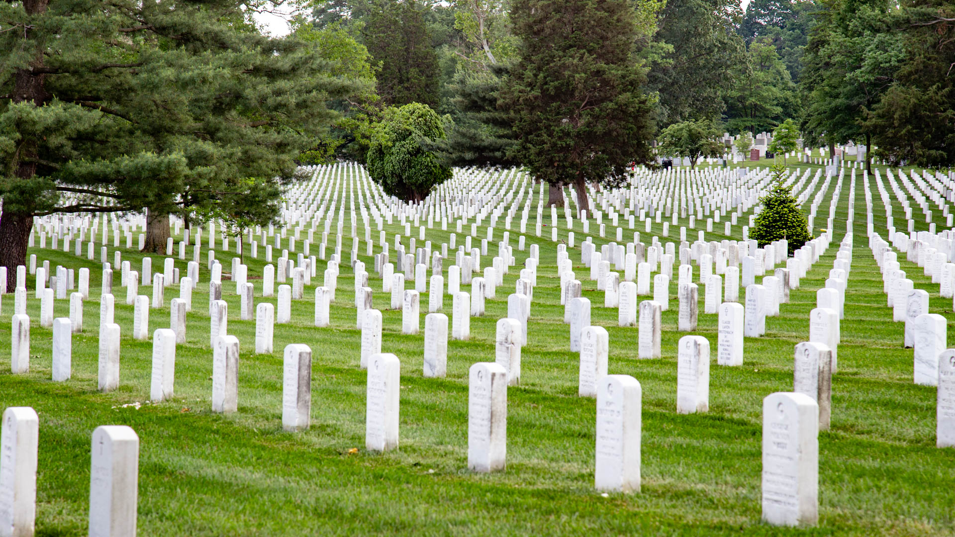 arlington