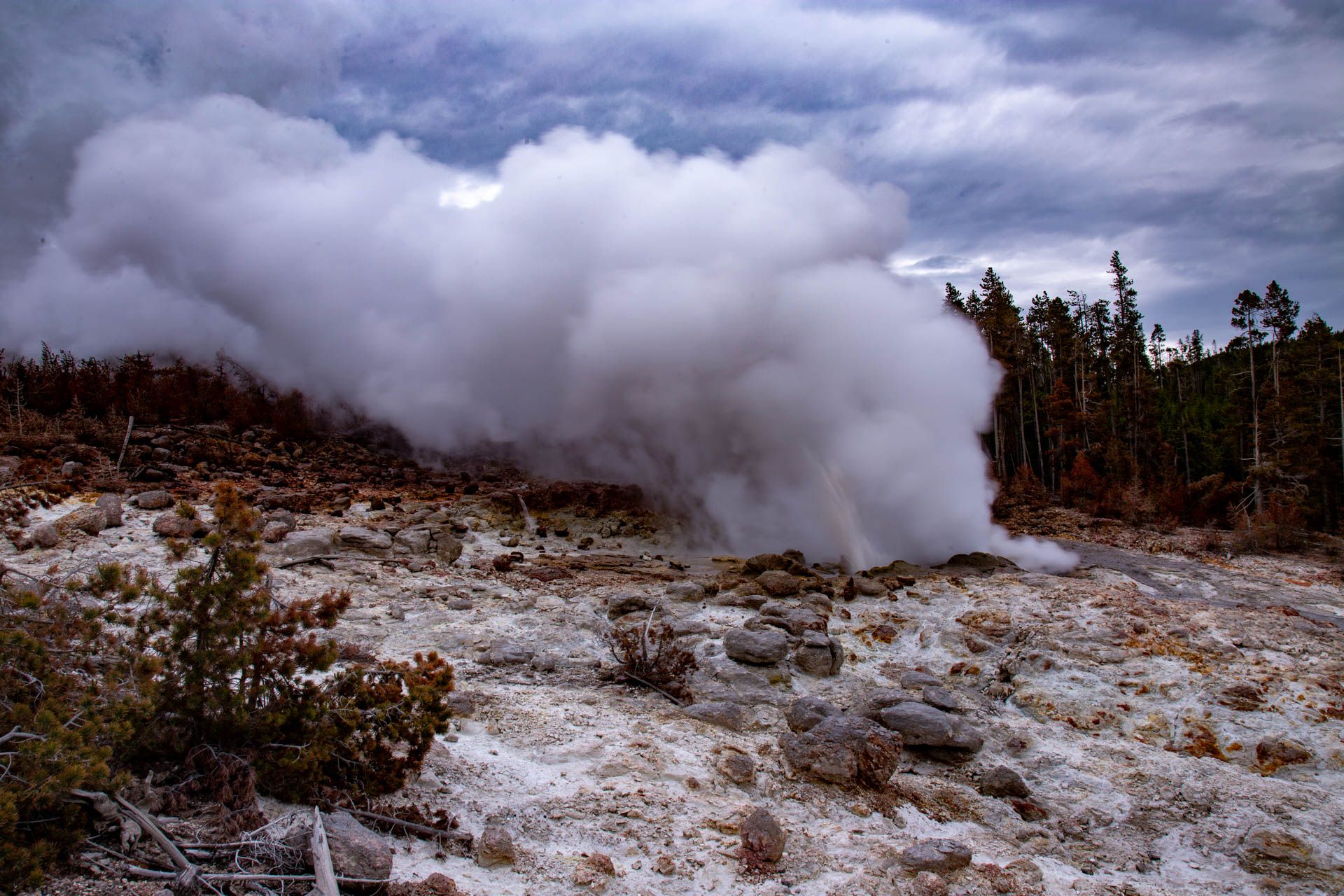 Yellowstone to Bozeman
