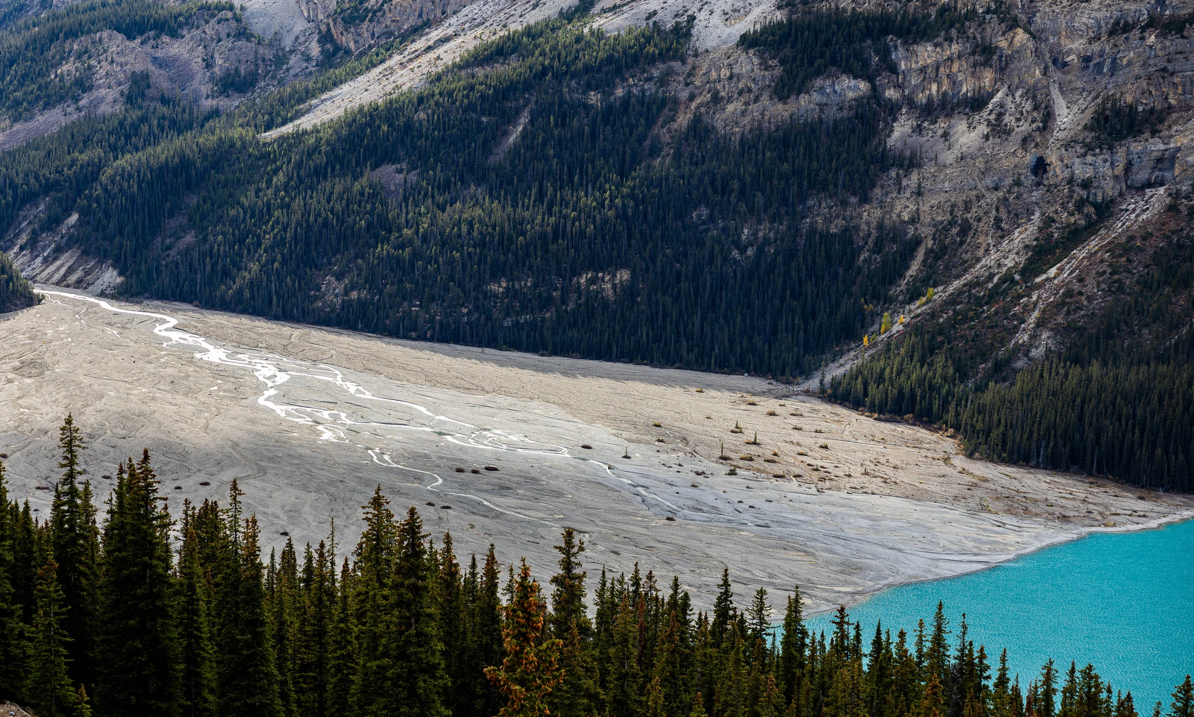 Glacial run-off at Peyto Lake near the Ice Fields Parkway in Canada. Oct 2023.